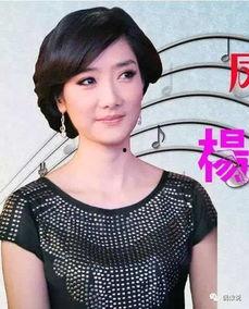 娱乐圈四个字的明星