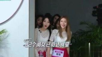 人聚娱乐视频,打造潮流娱乐新天地