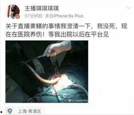 女主播琪琪的黄鳝门,女主播直播丑闻引发的舆论风暴