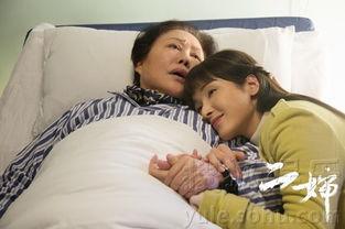 二婶电视剧演员表,实力派演员阵容演绎温情故事