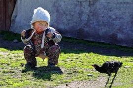 斗鸡图片搞笑,欢乐无限，笑料横生！