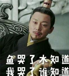 扶摇的国公表情包,表情包中的霸气与柔情